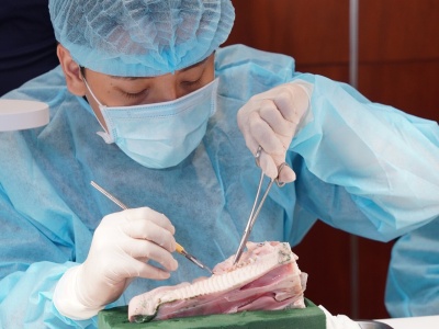 HANDS-ON IMPLANT SYD 2026